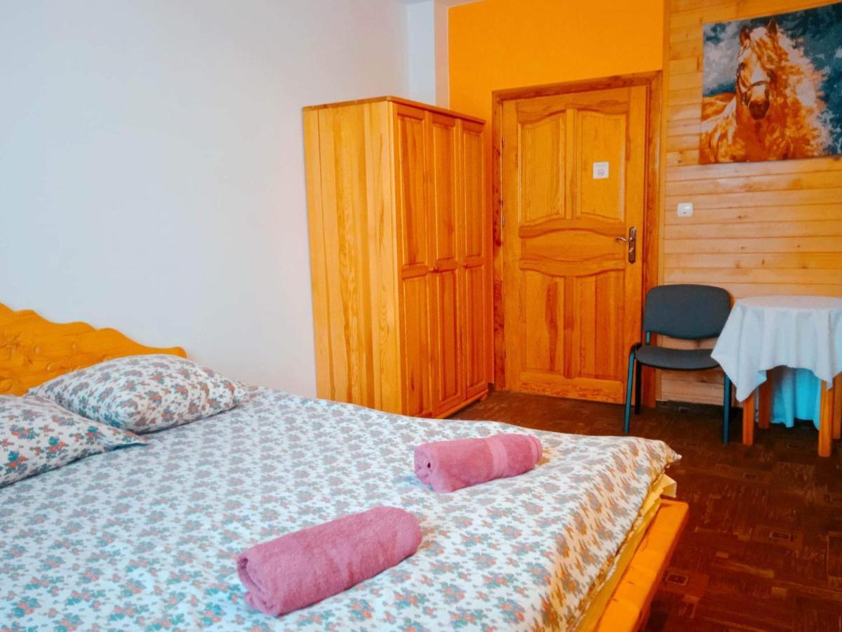Apartamenty I Pokoje Goscinne Nowita Zakopane Dış mekan fotoğraf