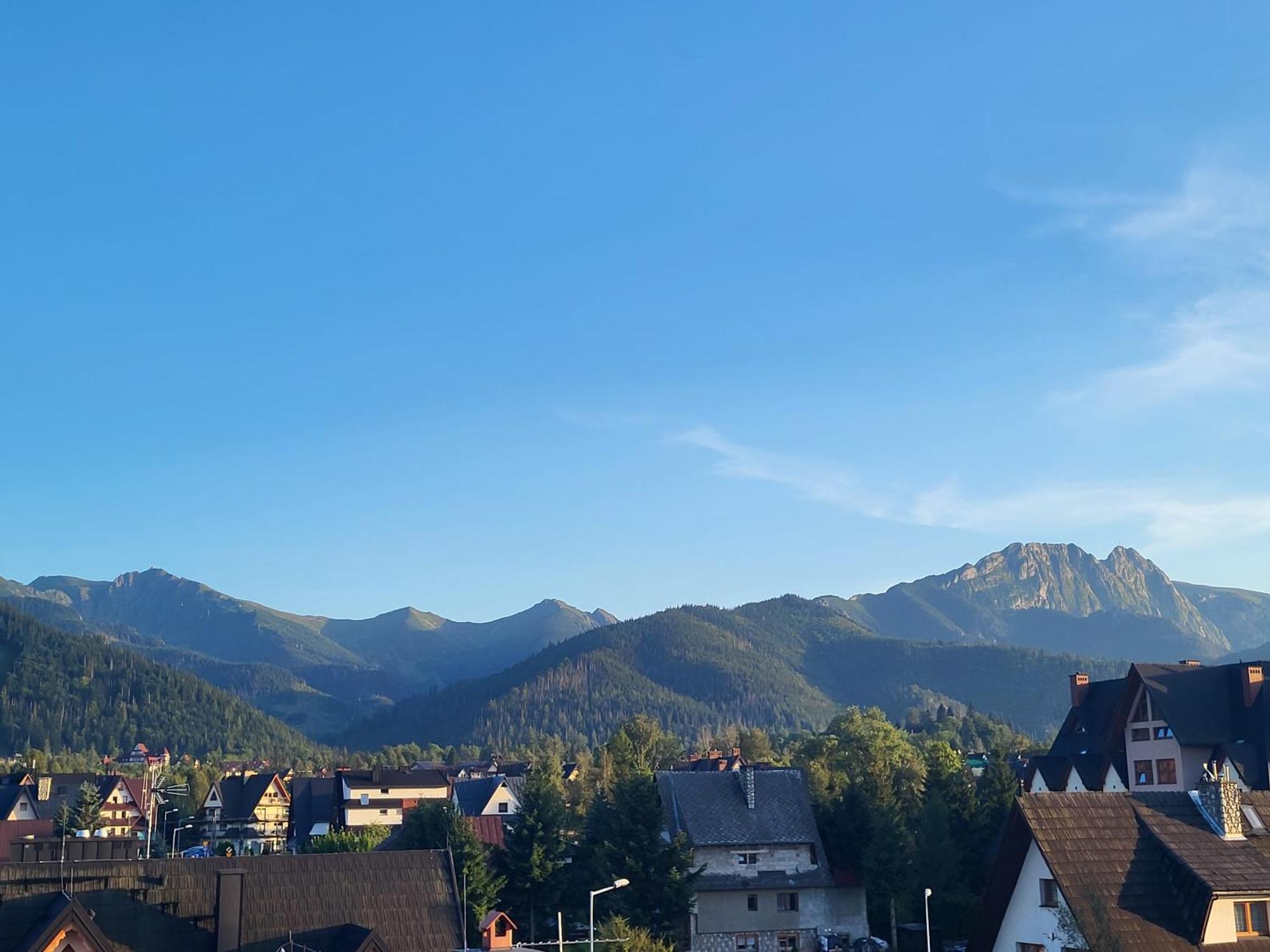 Apartamenty I Pokoje Goscinne Nowita Zakopane Oda fotoğraf